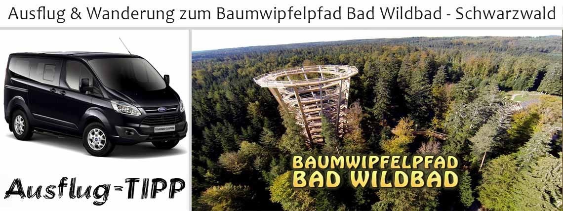 Ausflug & Wanderung zum Baumwipfelpfad Bad Wildbad - Schwarzwald 