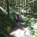 Wanderung - Zu den rauschenden Hörschbach-Wasserfällen